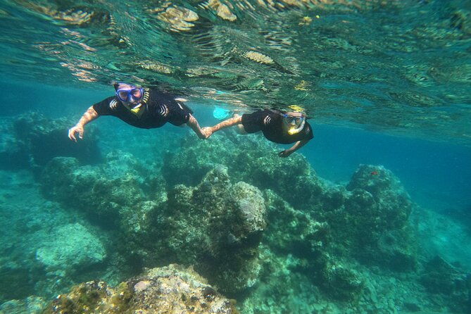 experience-snorkelling-in-puerto-del-carmen-lanzarote-2