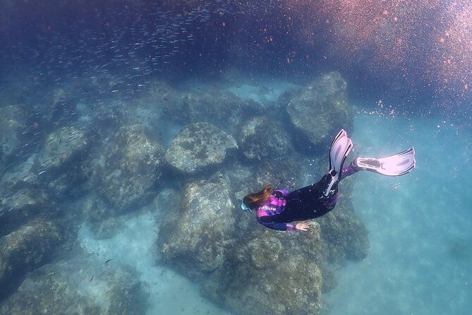 experience-snorkelling-in-puerto-del-carmen-lanzarote