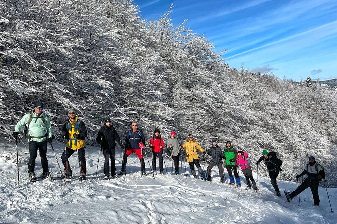 experience-snowshoeing-in-olympic-mountain-bjelasnica