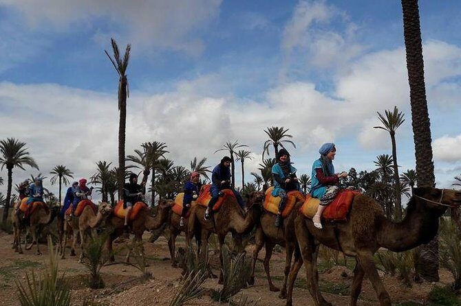 Experience Spa Hammam Massage and Camel tour - Experience Spa Hammam Massage and Camel Tour: A Cultural Escape in Marrakech