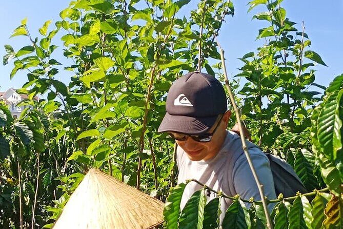 Experience specialty coffee with sustainable coffee farmers - Who Will Love This Tour?