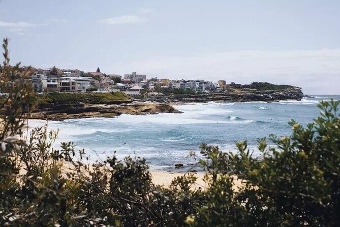 Experience Sydney's Best Beaches: Private Tour - Authentic Insights from Reviews