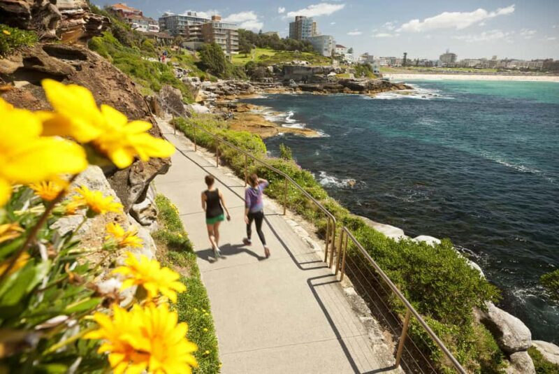 Experience Sydney's Best Beaches: Private Tour - Who Is This Tour Best For?