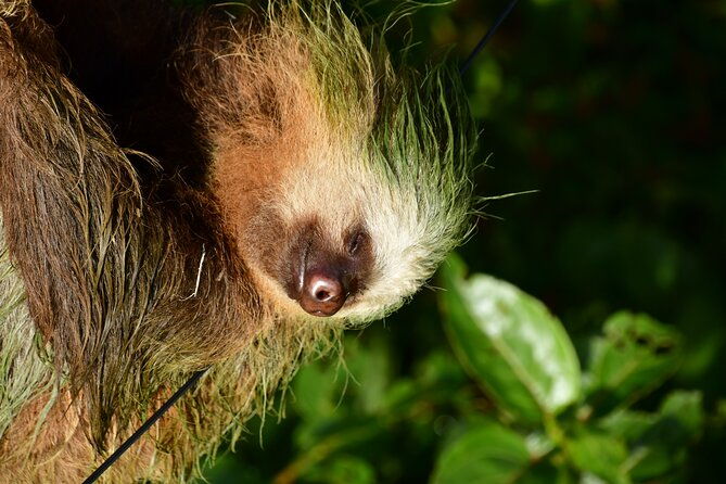 experience-the-adventure-explore-the-monteverde-cloud-forest