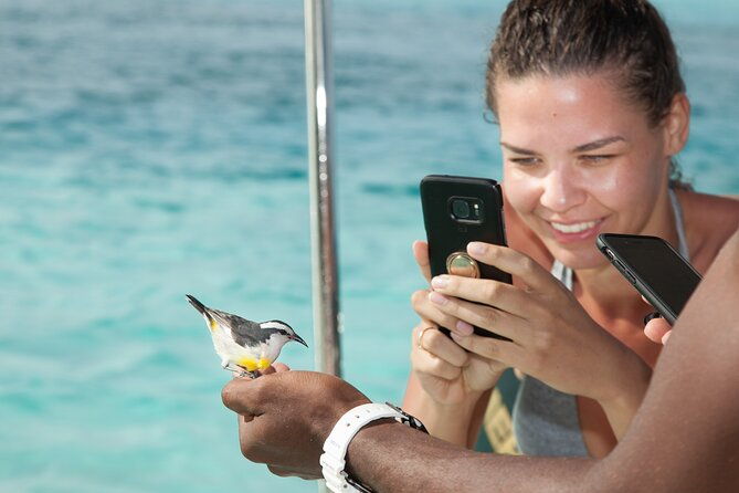 experience-the-exumas-and-the-world-famous-swimming-pigs