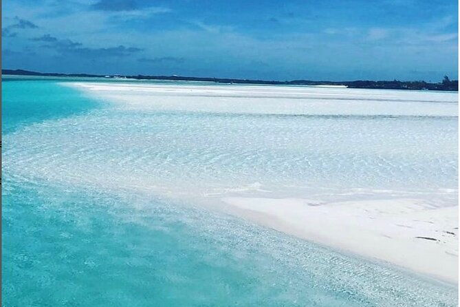 experience-the-exumas-and-the-world-famous-swimming-pigs