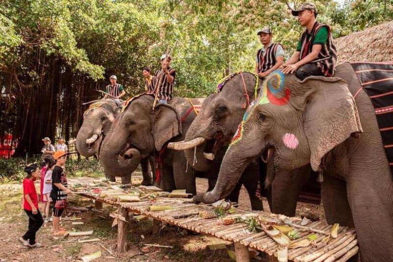 experience-the-hidden-gem-of-vietnam-2-day-buon-don-adventure