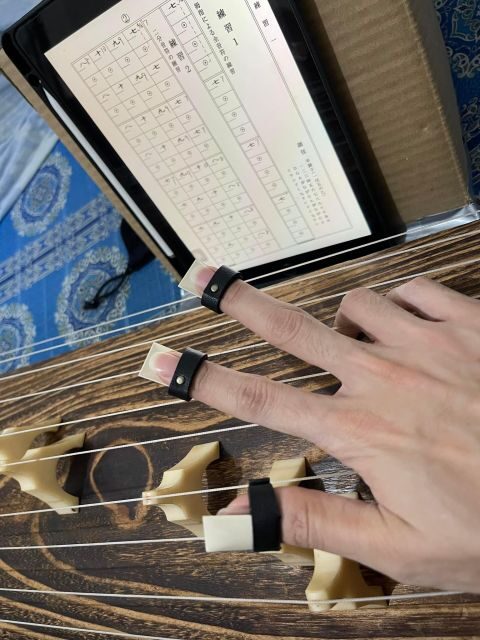 Experience the Soul of Hiroshima: A Peaceful Koto Workshop - The Cultural and Emotional Impact
