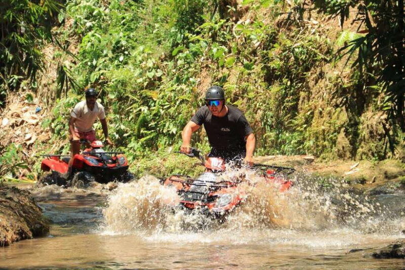 experience-the-ultimate-adventure-with-bali-tarantula-atv