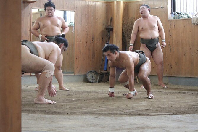 experience-the-world-of-sumo