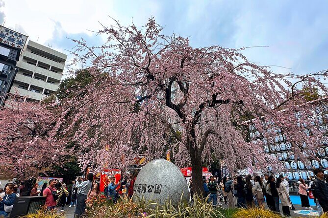 Experience Tokyo with Asakusa Walking Tour - An In-Depth Look at the Tokyo Asakusa Walking Tour
