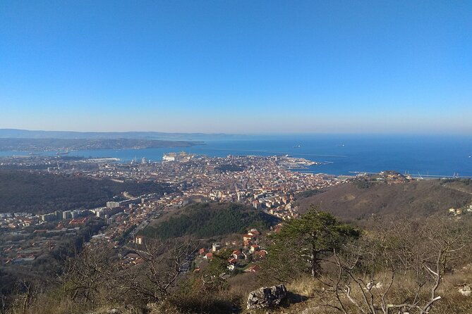experience-trieste