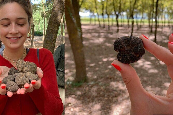 Experience Tuscan Truffle Hunting with Wine and Lunch - Final Thoughts: Is This Tour Worth It?