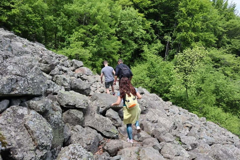 Experience Vitosha Mountain, a private hiking tour - Who Should Book This Tour?
