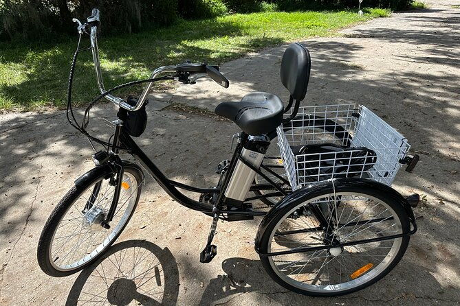 experience-wild-florida-nature-up-close-on-electric-trike-2-hrs