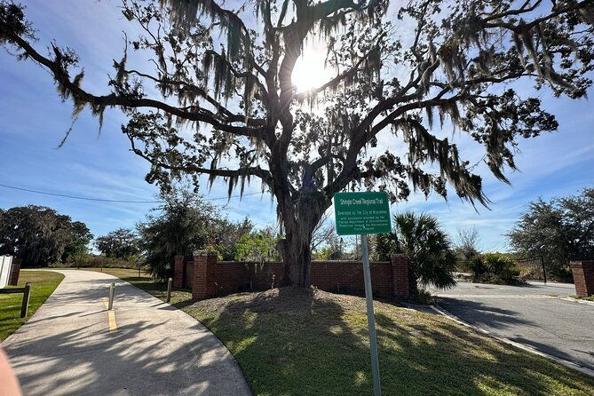 experience-wild-florida-nature-up-close-on-electric-trike-2-hrs