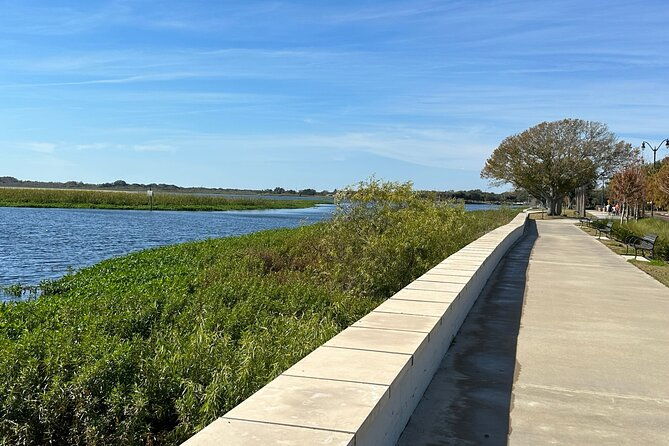 experience-wild-florida-nature-up-close-on-electric-trike-2-hrs