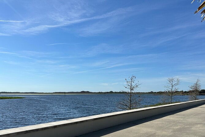 experience-wild-florida-nature-up-close-on-electric-trike-2-hrs