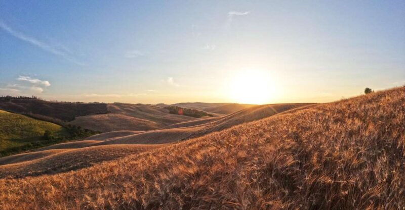 experience-with-birds-of-prey-in-tuscany
