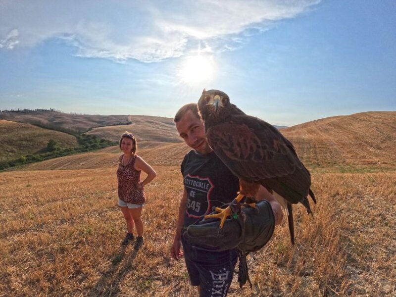 experience-with-birds-of-prey-in-tuscany