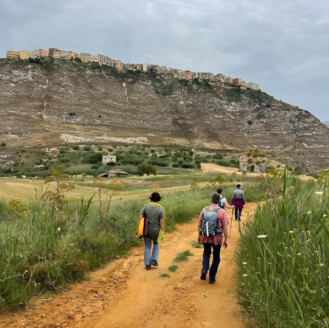 experience-with-girgentan-goats-in-agrigento