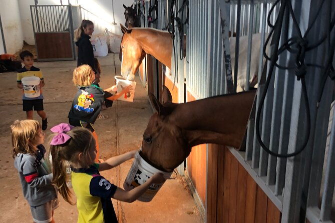 experience-with-horses-polo-classes-and-barbecue-in-buenos-aires