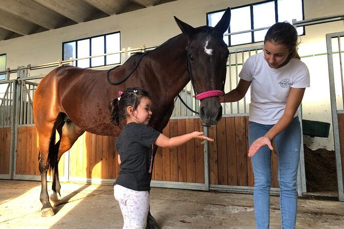 experience-with-horses-polo-classes-and-barbecue-in-buenos-aires