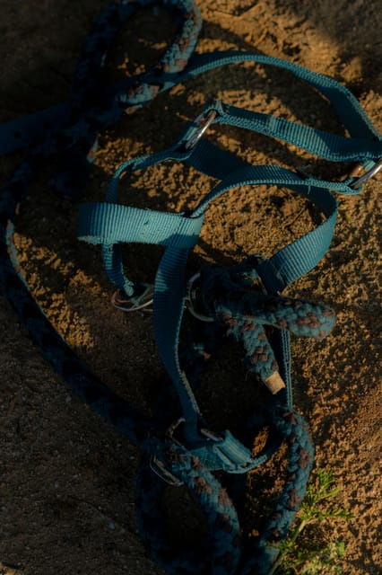 experiential-activity-with-horses-an-experience-in-connection