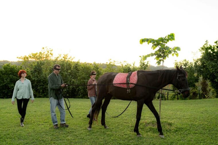 experiential-activity-with-horses-an-experience-in-connection