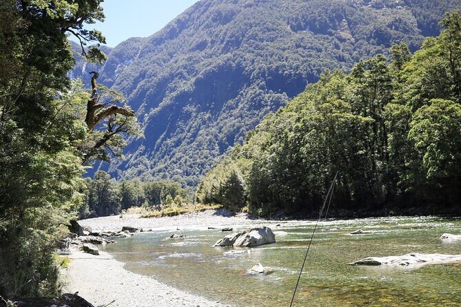 Expert Fly Fishing Adventures with Matt Butler from Te Anau - Pricing and Value
