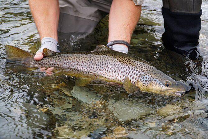 Expert Fly Fishing Adventures with Matt Butler from Te Anau - FAQs