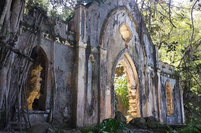 expert-sintra-qt-da-regaleira-guided-pena-palace-highlights