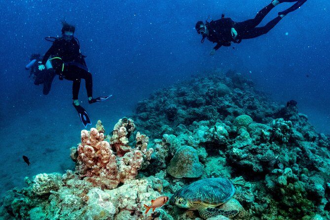 Exploration dives for experienced divers - Exploring the Exploration Dives for Experienced Divers in Mauritius