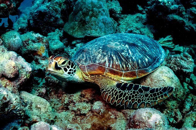 Exploration dives for experienced divers - Key Points