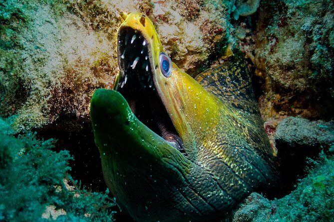 Exploration dives for experienced divers - The Sum Up: Is It Worth It?