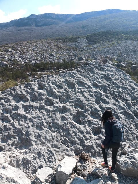 exploration-of-the-largest-landslide-in-the-alpine-arc