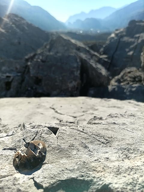 exploration-of-the-largest-landslide-in-the-alpine-arc