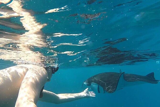 Explore 4 iconic snorkeling spots of Manta Bay in Nusa Penida - Why This Tour Could Be Perfect for You