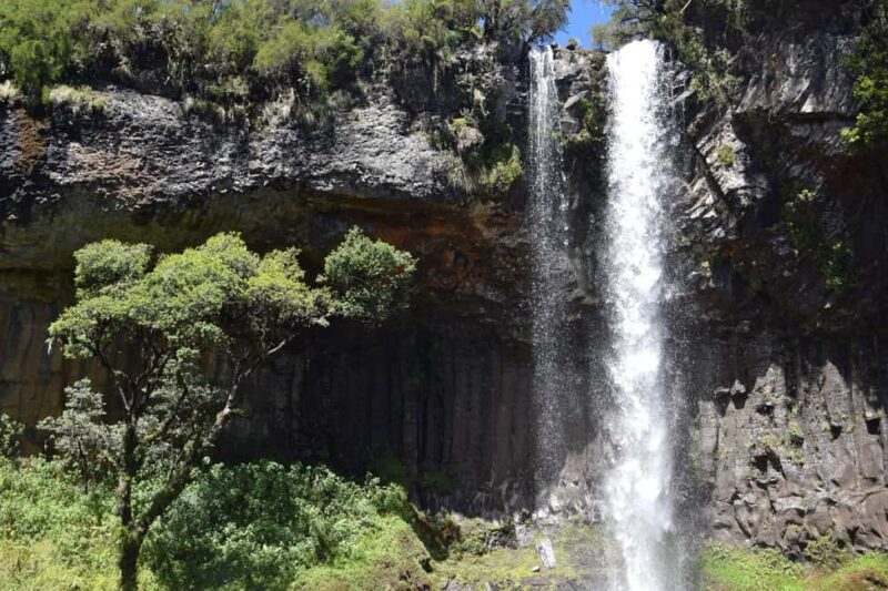 Explore Aberdare:See Big 5, Waterfalls & Camping in the wild - Final Thoughts: Who Will Love This Experience?