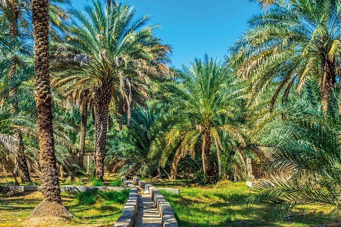 Explore Abu Dhabi In Full Day City Tour (8 Hours) - FAQs