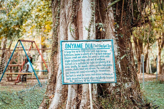 Explore Aburi Botanical Gardens And Boti Falls - Authentic Traveler Insights