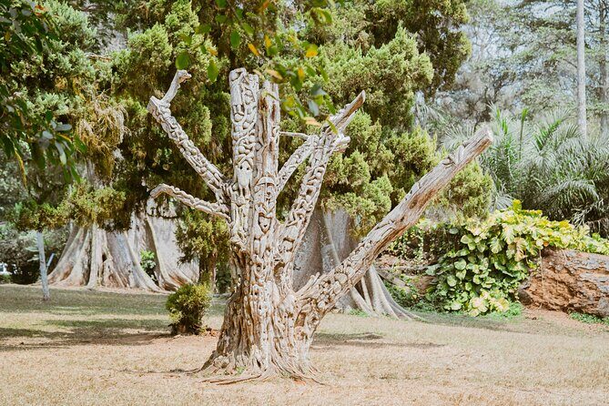 Explore Aburi Botanical Gardens And Boti Falls - Final Thoughts: Is This Tour Worth It?