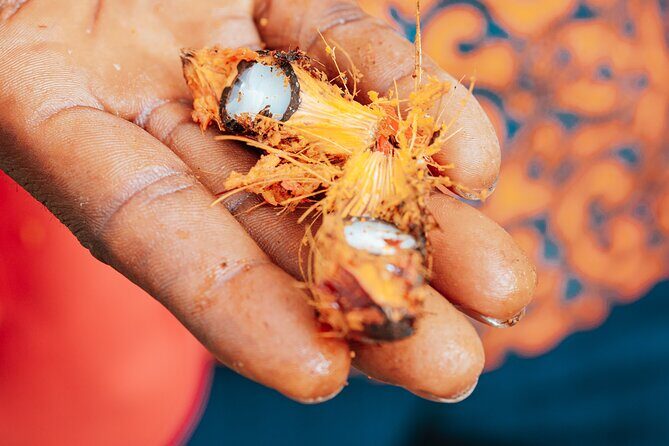 Explore Aburi Botanical Gardens And Boti Falls - Who Should Book This Tour?