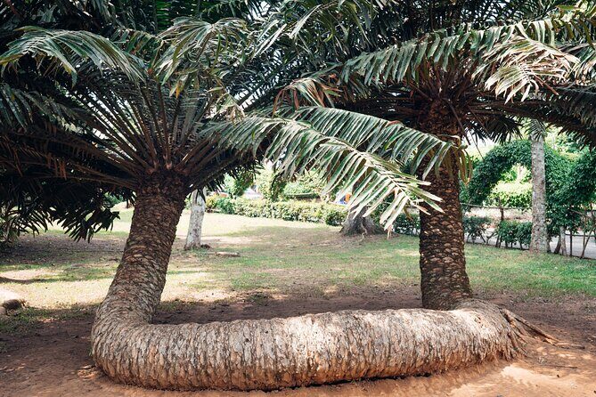 Explore Aburi Botanical Gardens And Boti Falls - FAQ