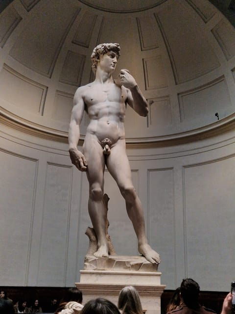 explore-accademia-gallery-on-free-museum-day