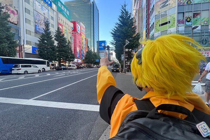 Explore Akihabara with Local Cosplayer Guide(s)! - Who Should Consider This Tour?