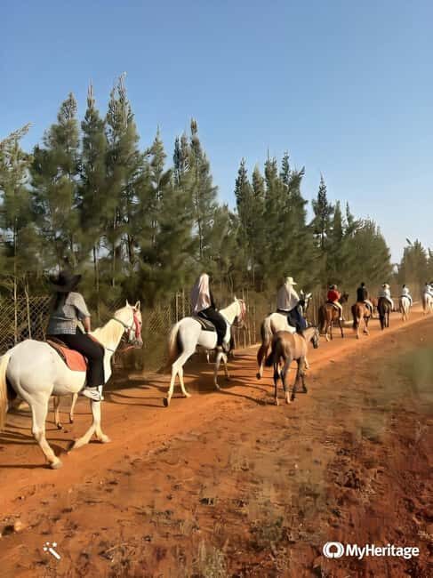 Explore Algeria in 4 Days: History, Culture, Natural Beauty - Day 4: Algiers - The Historic and Botanical Finale