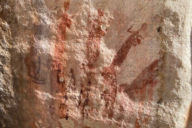 Explore ancient rock art on a private guided trip from Cape Town - Value and Practical Considerations