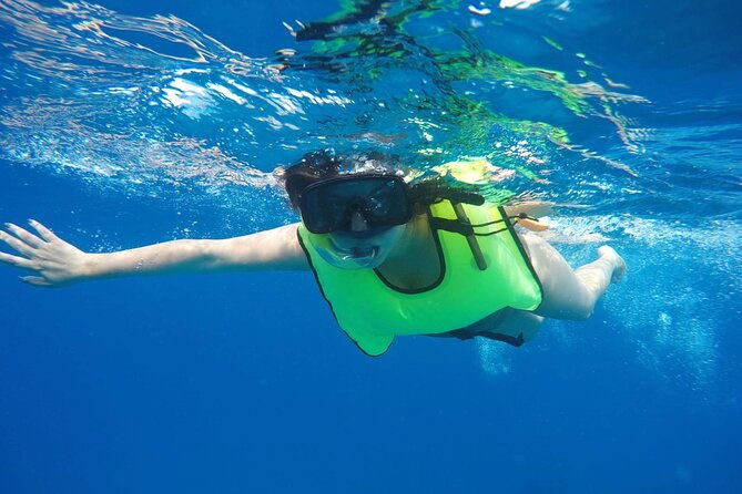 explore-and-discover-barbados-by-land-by-sea