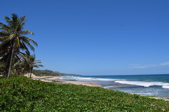 explore-and-discover-barbados-by-land-by-sea